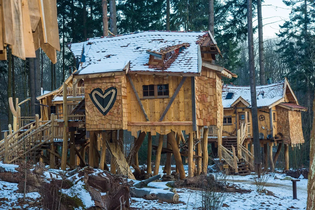 Inside the treehouse